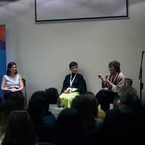 Alberto Cruz formador de observadore (41)