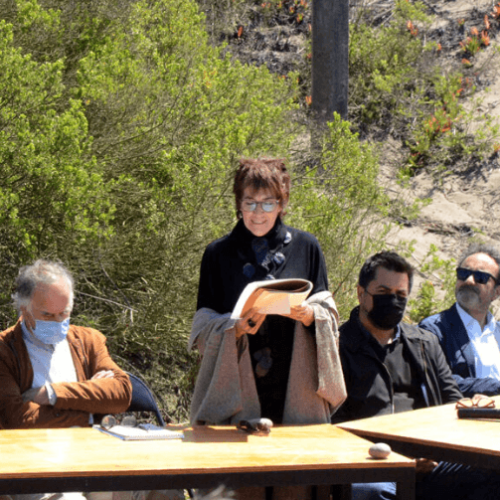 Captura de pantalla 2025-06-24 123949