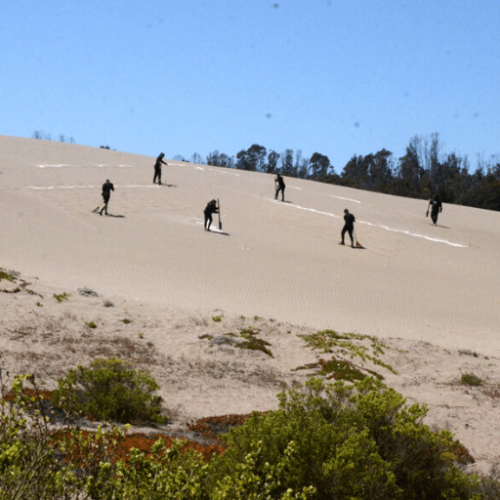 Captura de pantalla 2025-06-24 124026